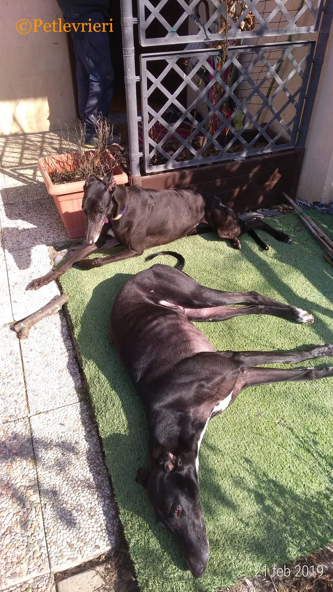 52368333 2368594456485290 8545484523754749952 o