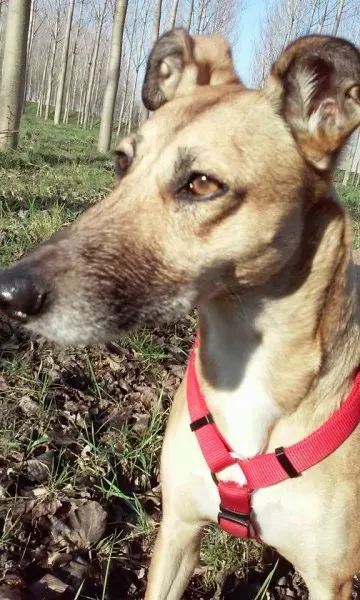 524228 1028558820494735 2443832522181821869 n