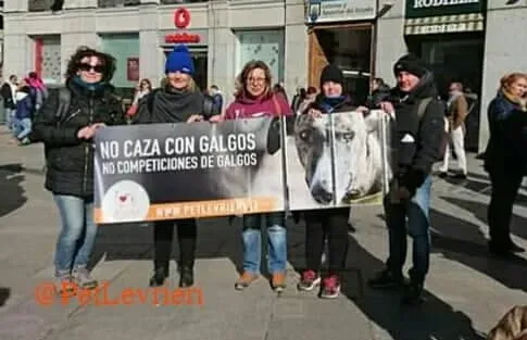 52469133 308120449847765 650554401357824000 n