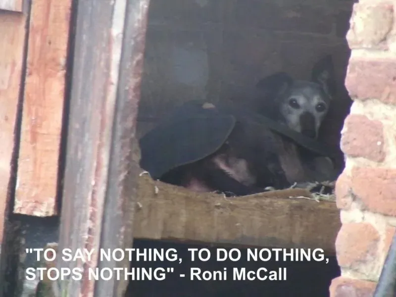 524743 455958674457303 1179673909 n