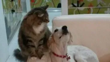 526558 648187391868312 1313240840 n