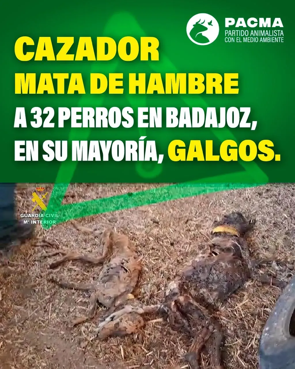 528867395 1304448604375664 1815126121785290606 n