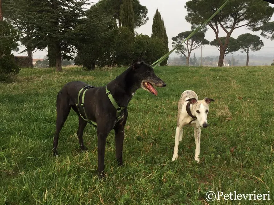 52927522 10216288335434088 5625044407586652160 n