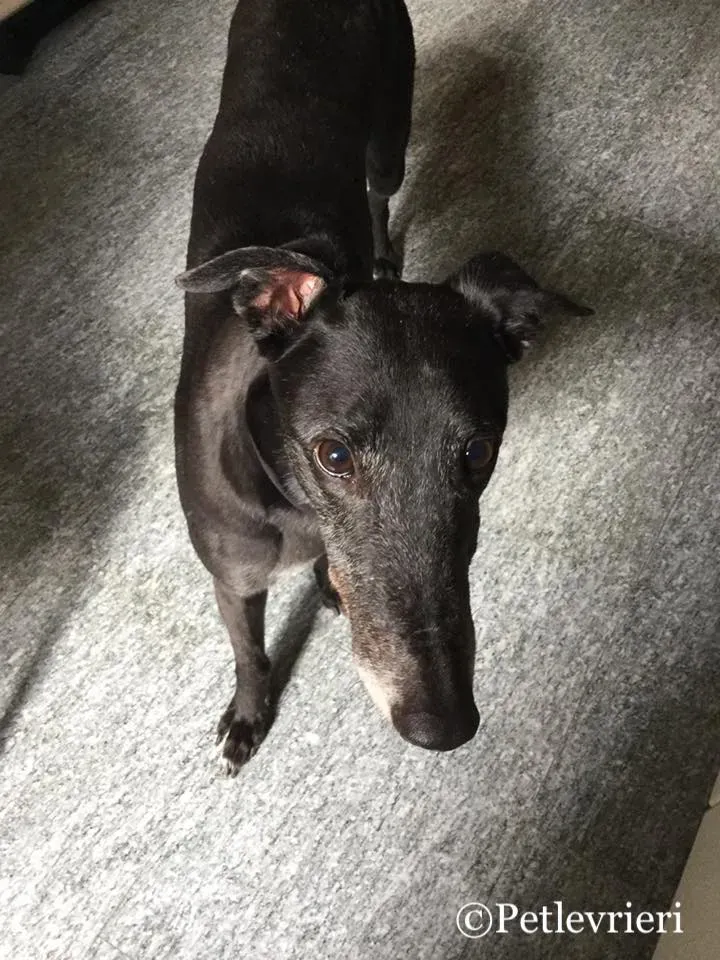 53344679 10216323650756949 8968816441981665280 n