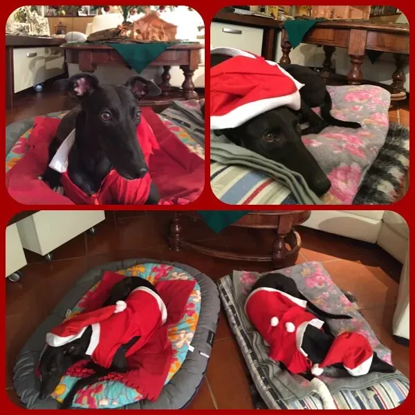 535249 921293524628720 8235272863084027034 n