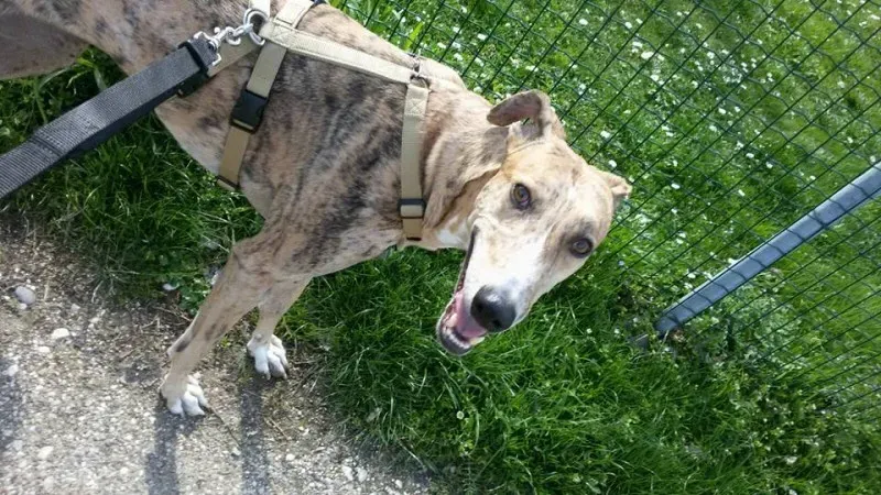 535299 209484202745674 3625866244211492099 n