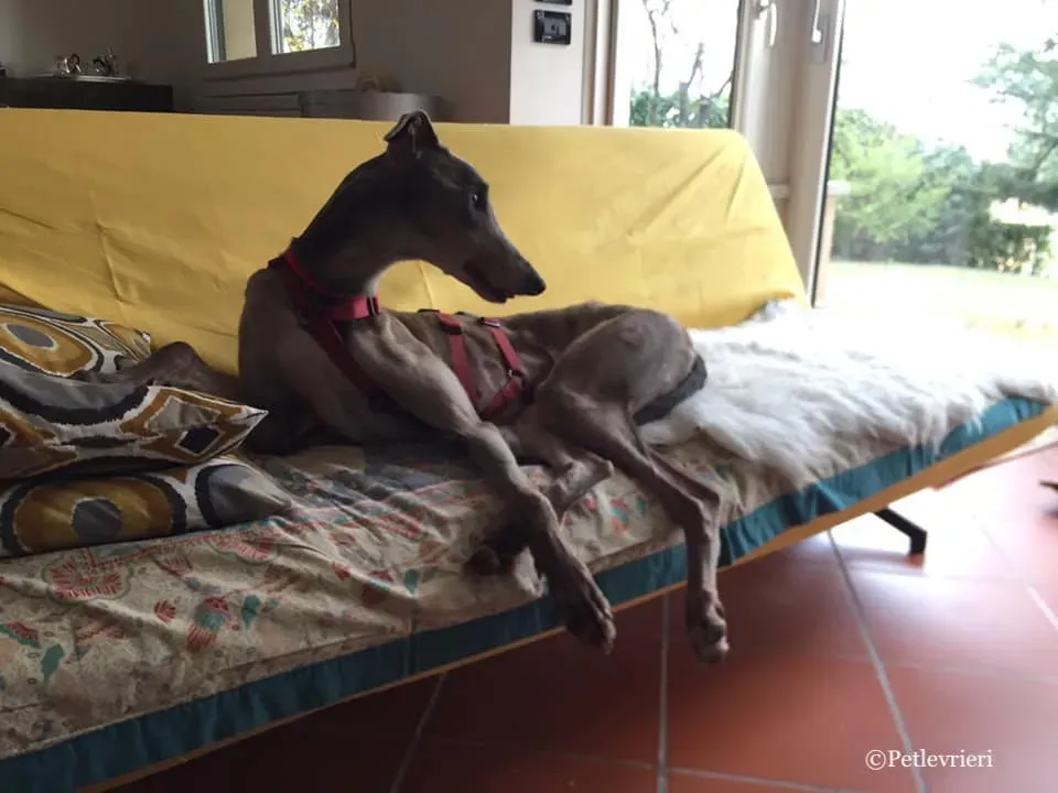 53561713 576705549473250 586576091775238144 n