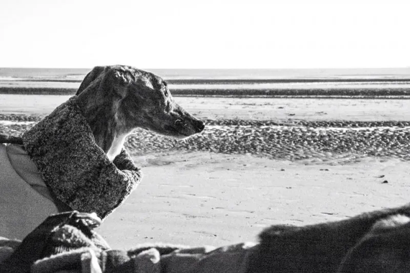 535891 737552489675880 5783708838807687140 n