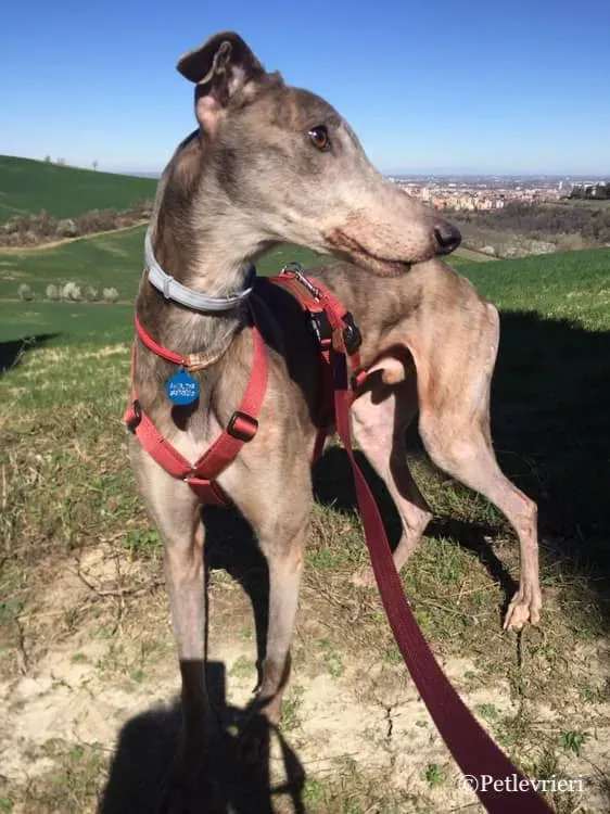 53671877 577674626043009 2236785797724372992 n