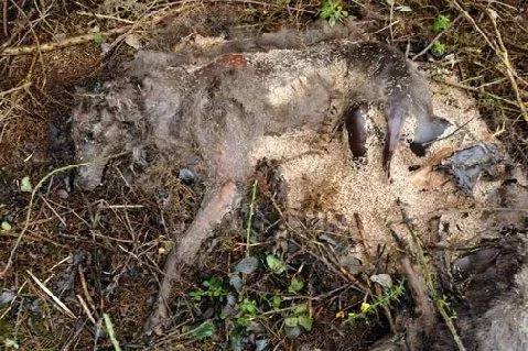 536763 386795204686292 785639584 n