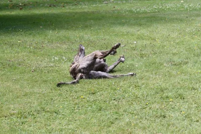 537268 4721801302650 679851844 n