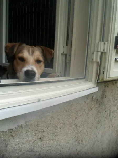 537279 10201075078901573 1134201292 n