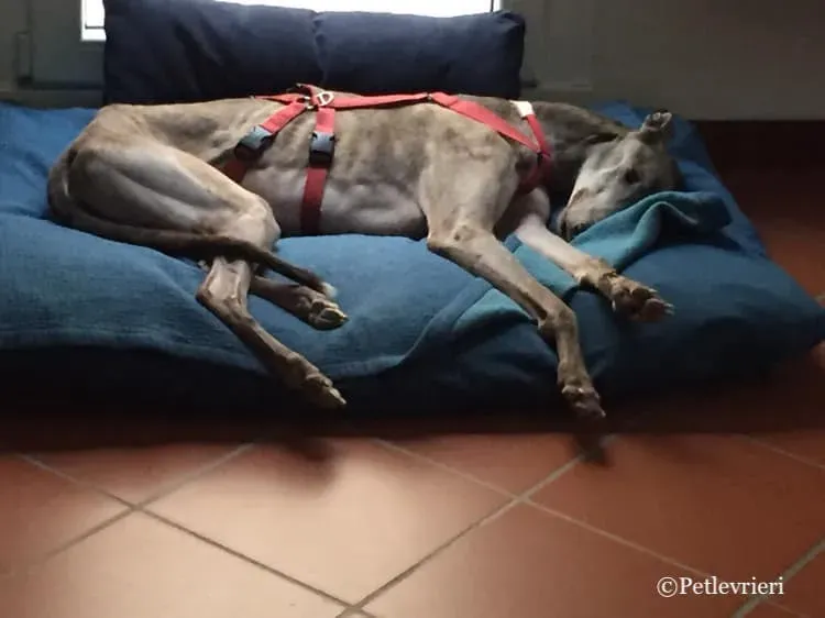 53762057 576705362806602 6721186869742141440 n