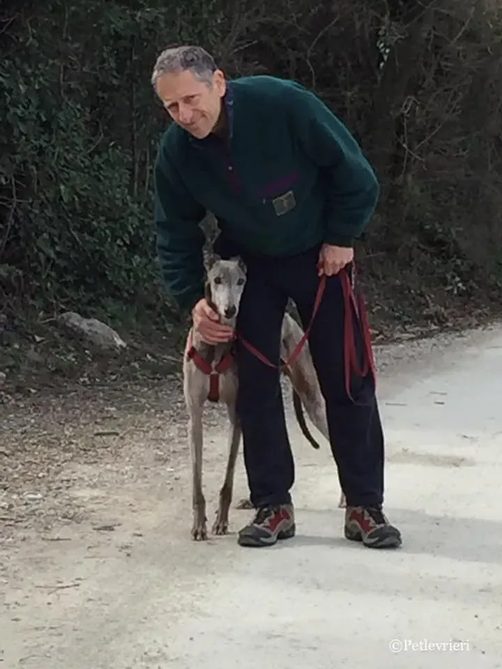 53800867 576705596139912 1015651493673435136 n