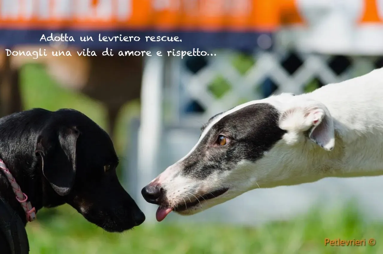 53803628 2154553137961863 8396321512155512832 o