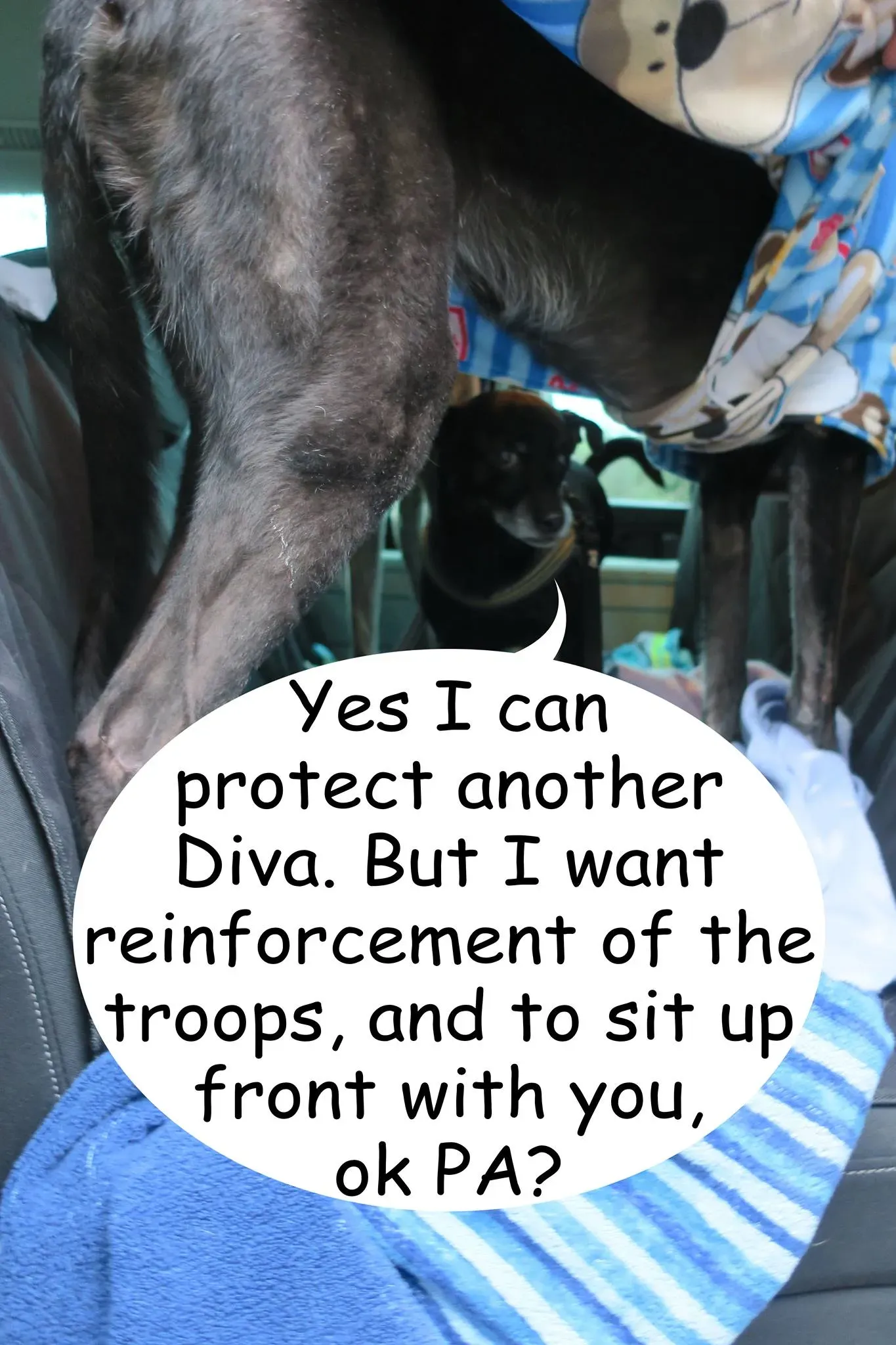 53862961 271623713785820 2008237866211082240 o