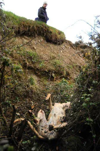 539986 386795321352947 219005794 n