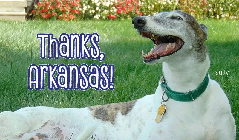 54258c18 f319 441c 8e0a 5e7dbcd55727