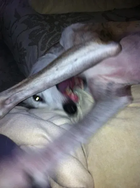 542757 298726370253779 913924066 n