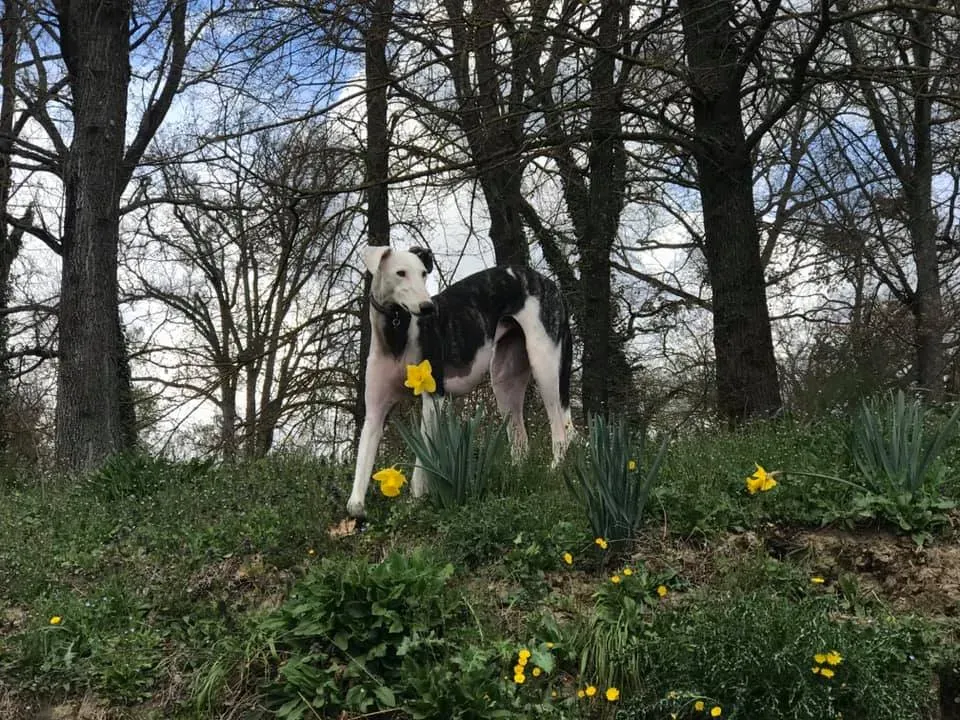 54279282 10216121200297270 8371127453040508928 n