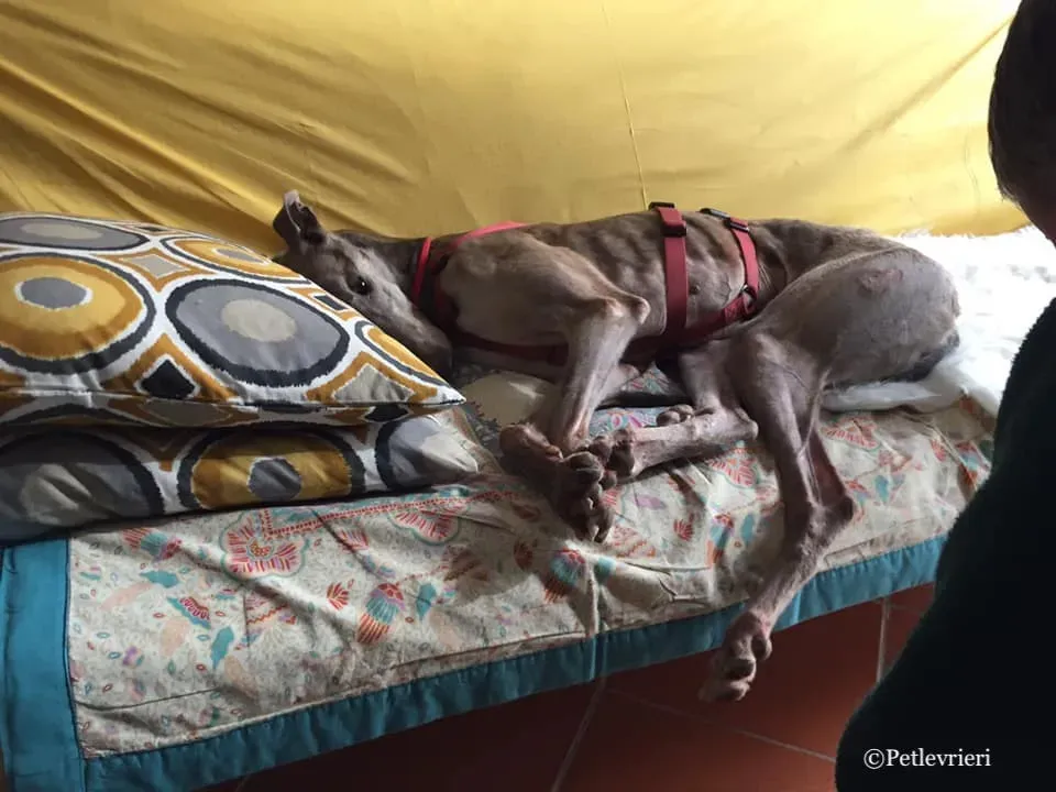 54354360 576705499473255 6160807441362583552 n