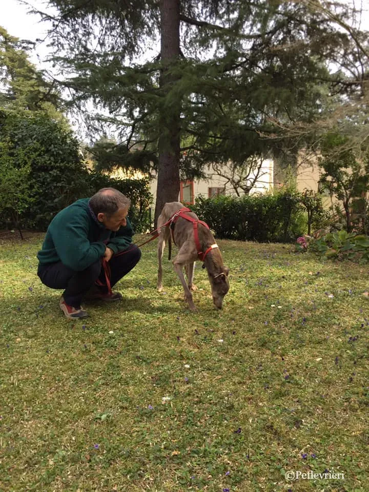 54364869 576705762806562 7702254573783613440 n