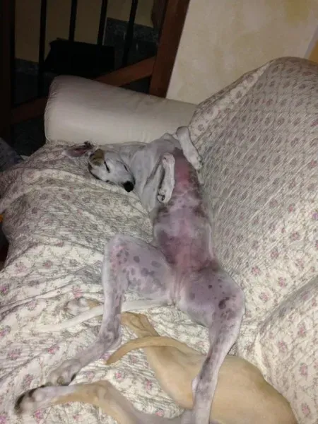 5438 10205767206041363 7441376587124680698 n