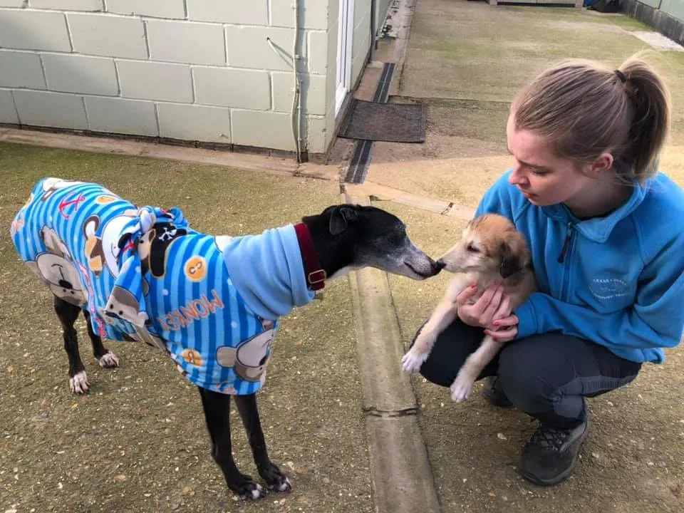 54433411 10156375425643869 1794985150757470208 n