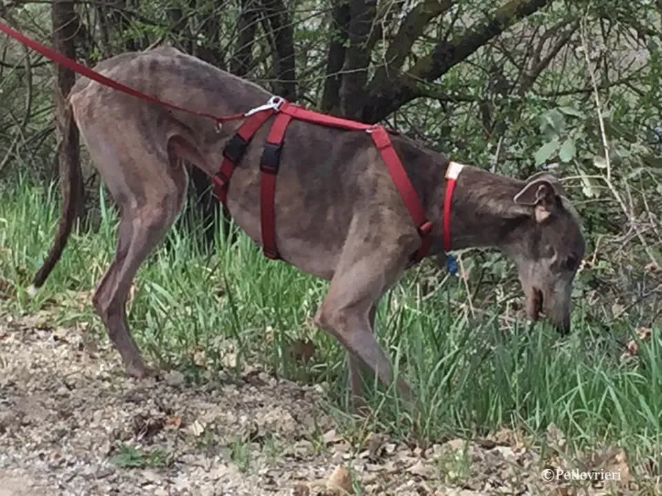 54437285 576705676139904 6403123839730974720 n