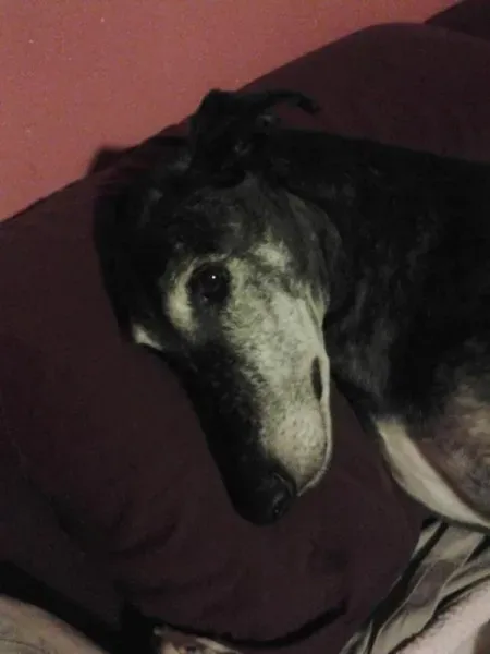 544603 10200442861226711 1126291242 n