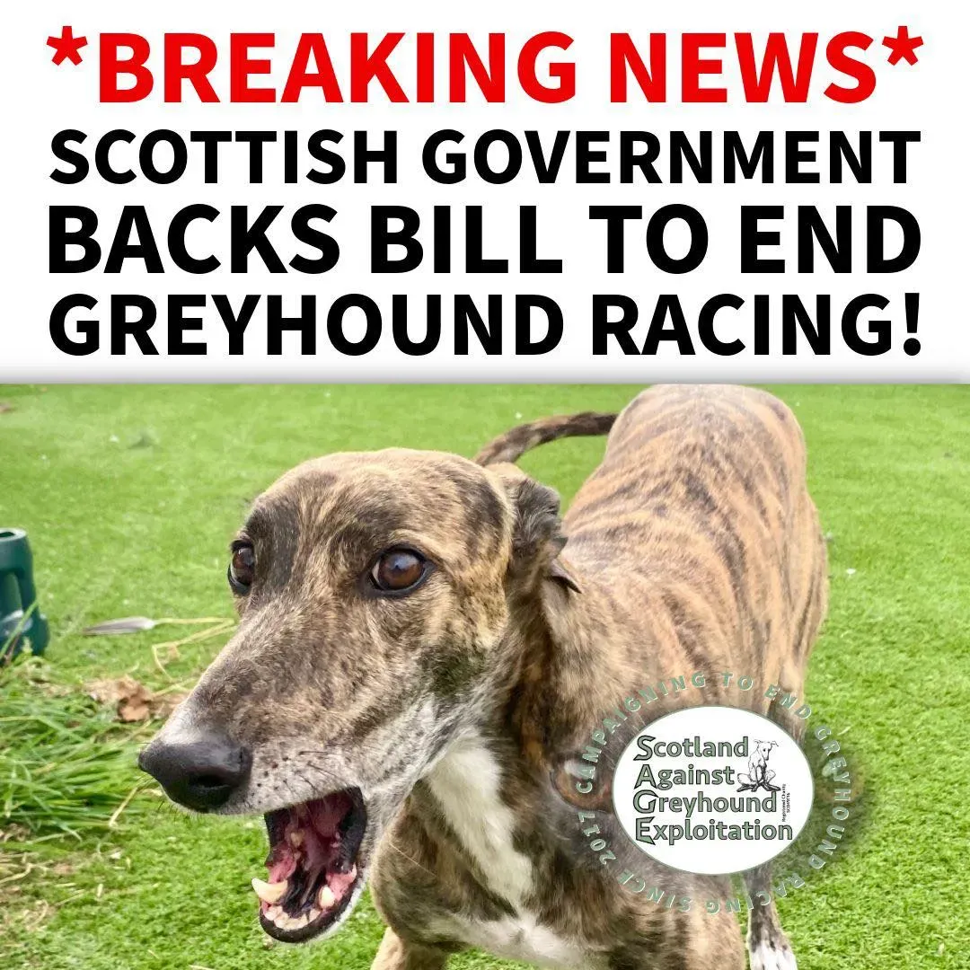 544846863 1102084232064372 7735765710830102440 n