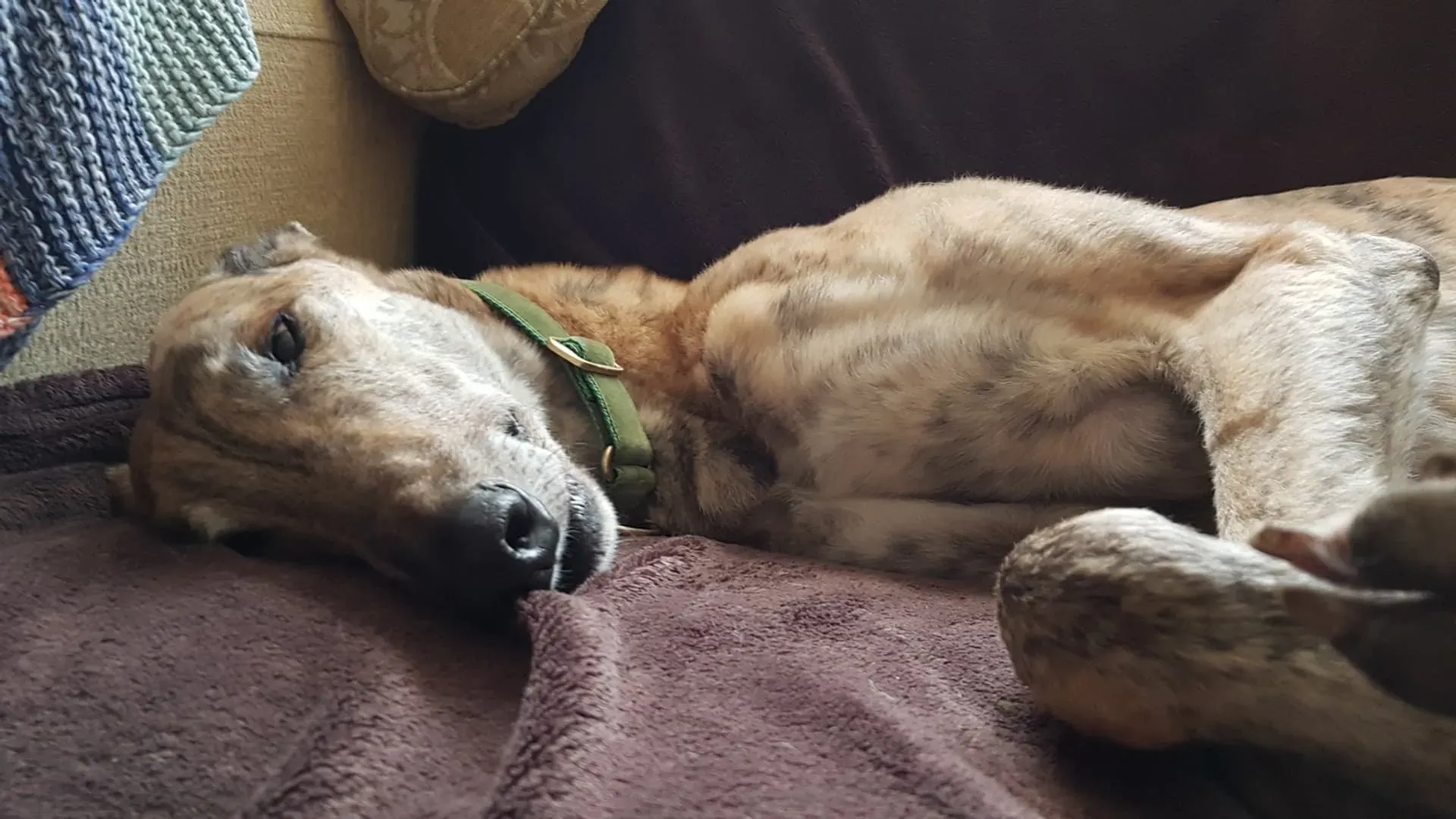 54730637 2383863548537817 4251864670664654848 n