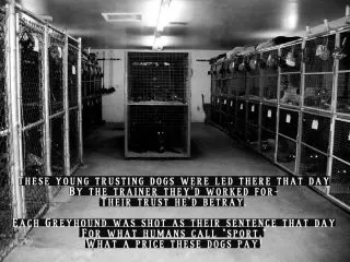 547583 3720794110055 1581875591 2896313 89744410 n