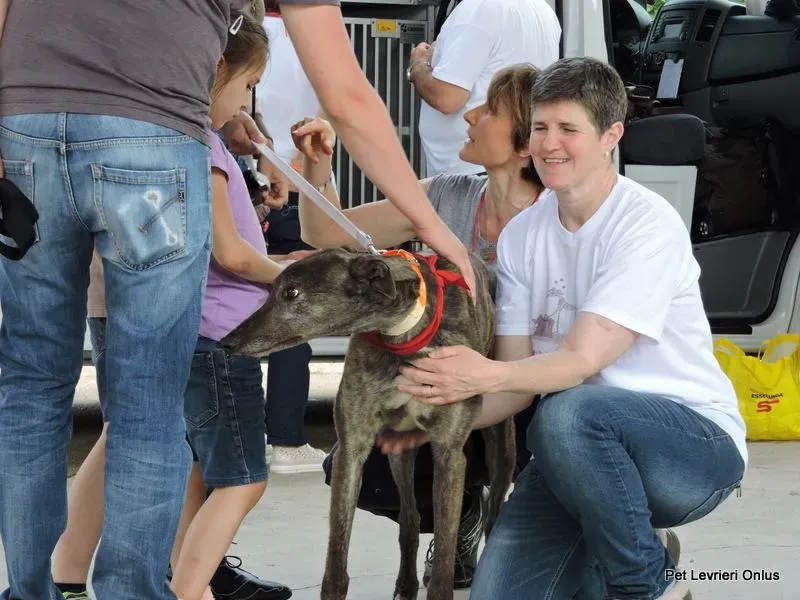 549292 835088529908337 4728923660335954126 n