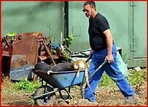 552783 2805185188445 164956301 n