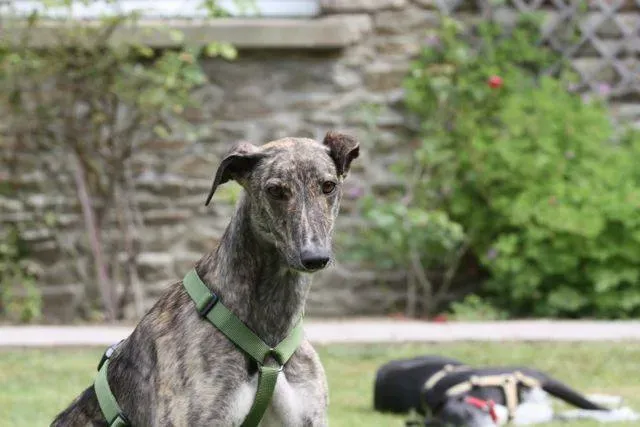 557237 4721804582732 875194794 n