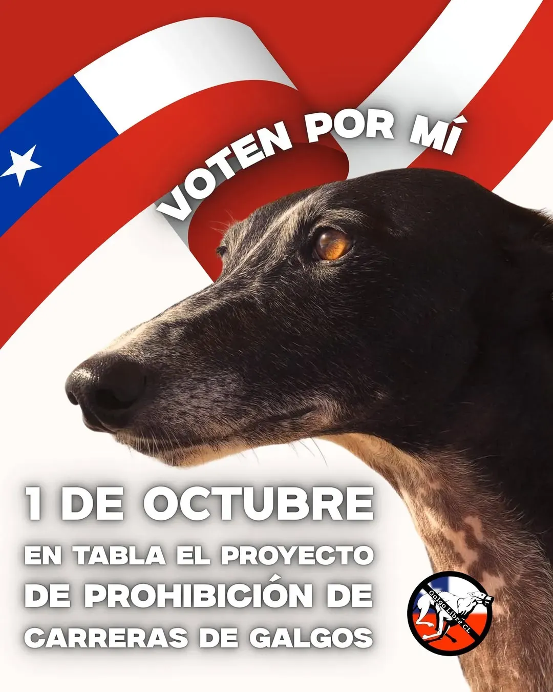 557530585 1265866492245009 6697167263439827252 n