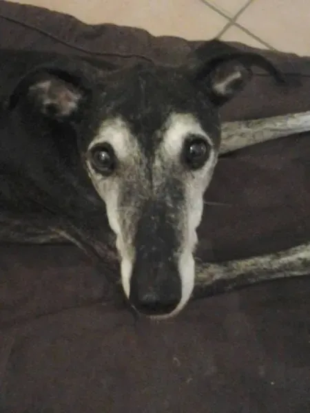 558079 10202176241120125 1144891108 n