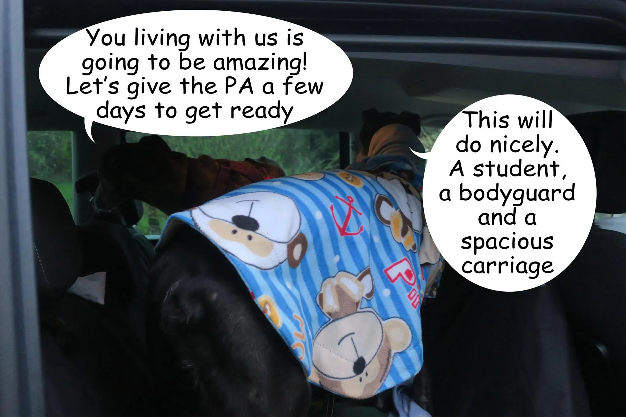 55818994 271623687119156 3084158784818380800 o