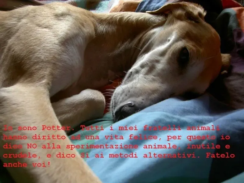 559907 10203205622487859 1378063423 n