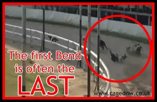 560109 508451269263013 40800357 n