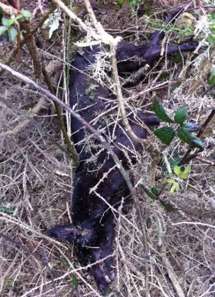 560717 386356168063529 917592214 n