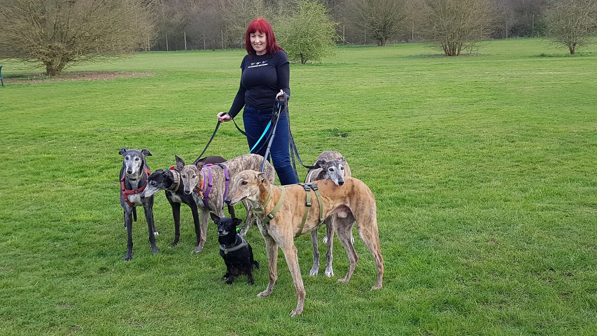 56196756 2019711574793292 3107717264552493056 o