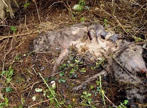 563698 386795161352963 525310603 n