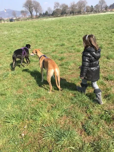 5672 10207845087824041 5186804171248376967 n