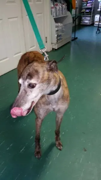 5682 982592481824607 1626131618710956022 n