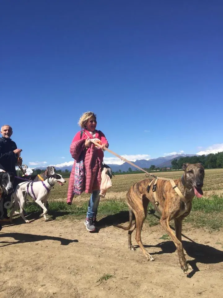 57015616 2284461514948194 5682575103674548224 n