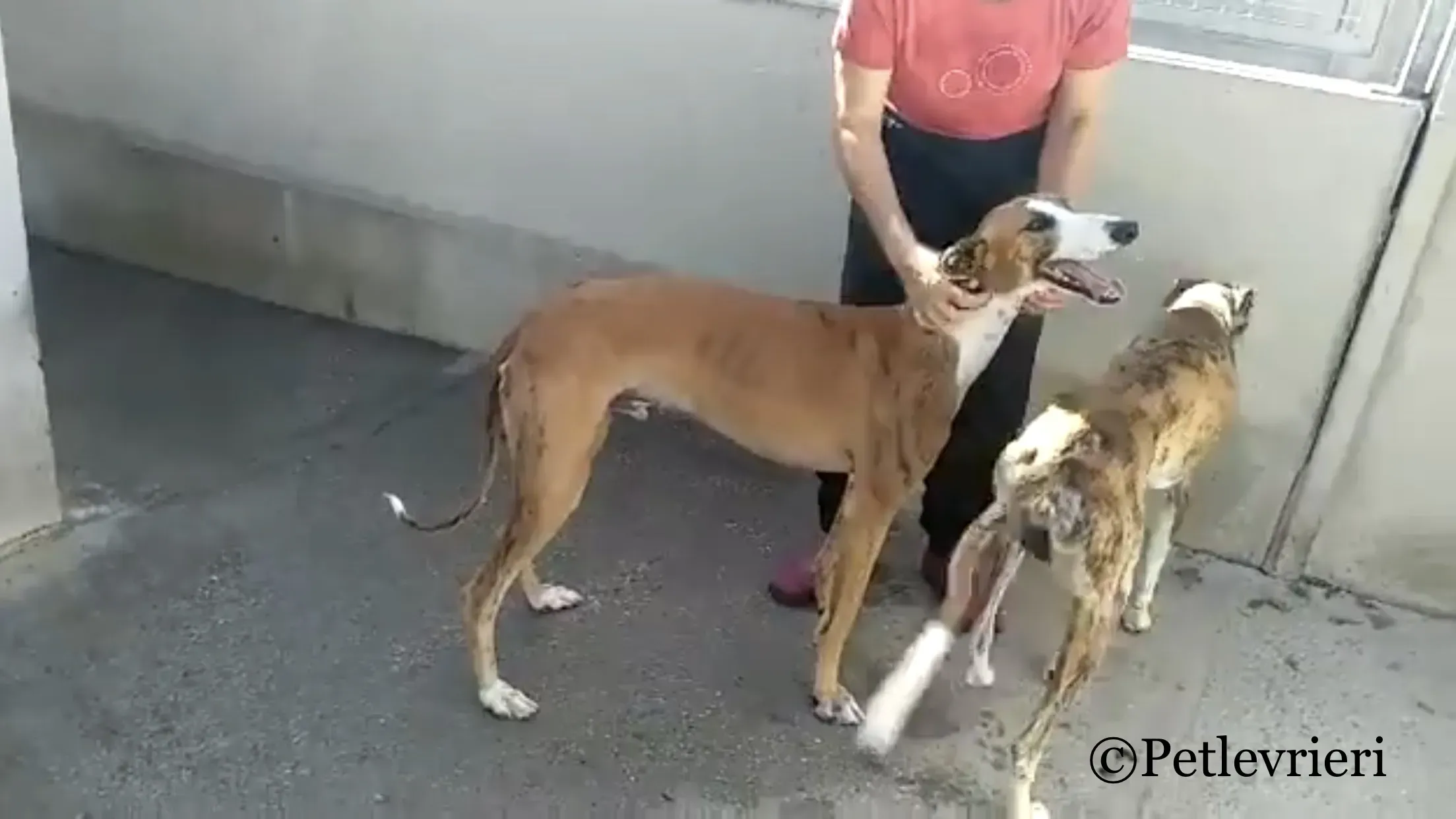 57022E51 D74F 413C BAE4 788F1120221A