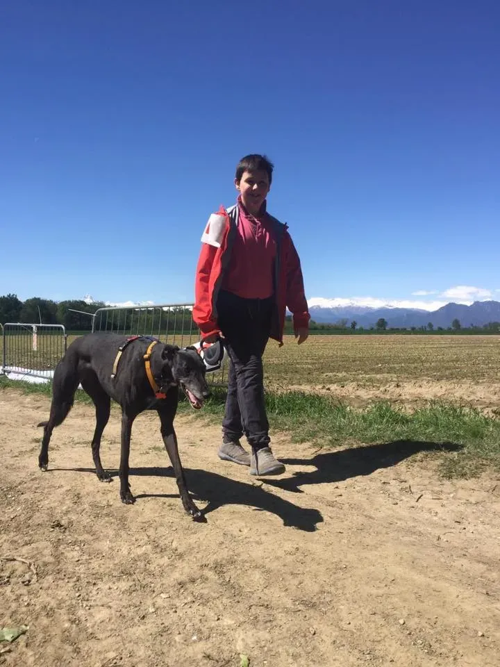 57209235 2284466178281061 6669528613718589440 n