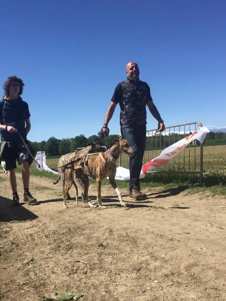 57313515 2284465888281090 134815308274728960 n